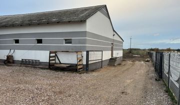 Hala/magazyn Żelechlin