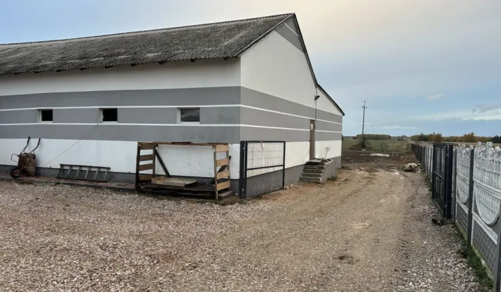 Hala/magazyn Żelechlin