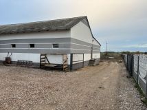 Hala/magazyn Żelechlin