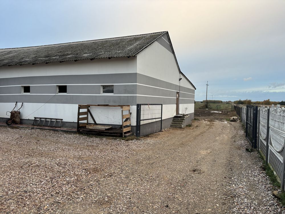 Hala/magazyn Żelechlin