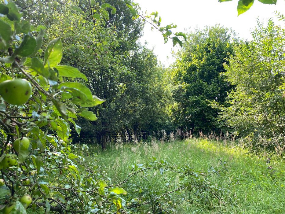 Działka rod Katowice Ligota, ul. Szadoka. Zdjęcie 6