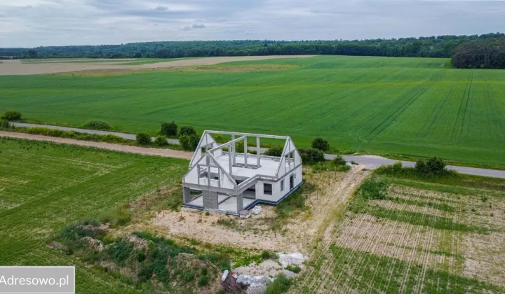 dom wolnostojący, 10 pokoi Nienawiszcz