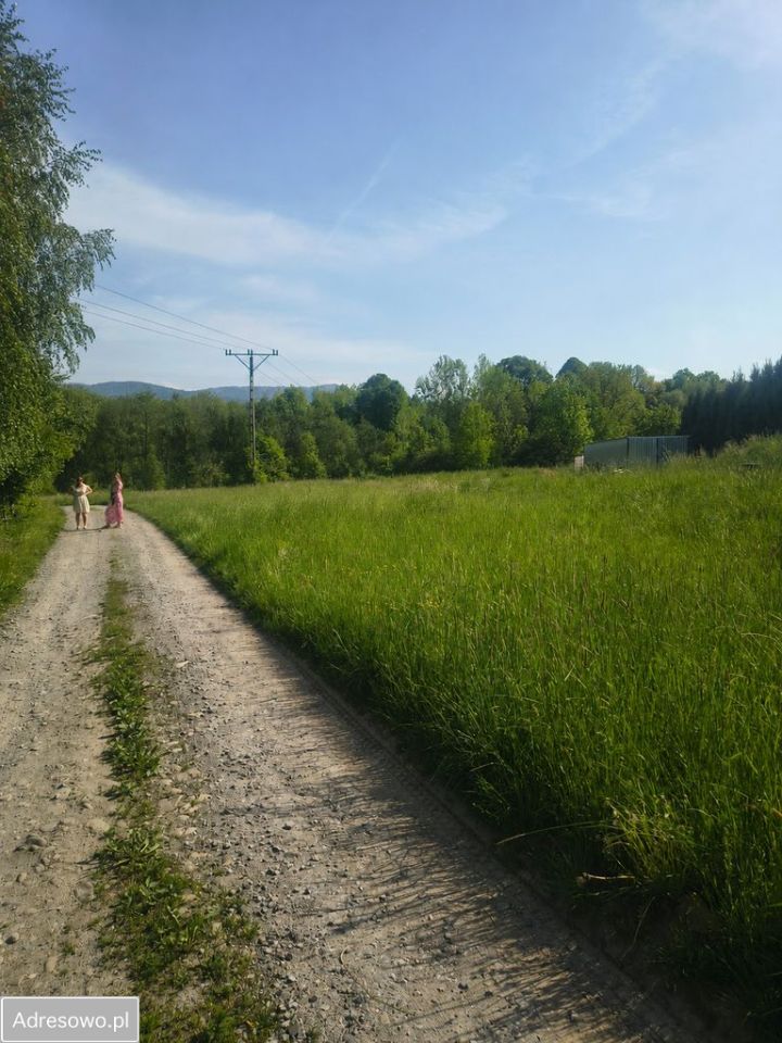 Działka budowlana Radziechowy, ul. Modrzewiowa. Zdjęcie 2
