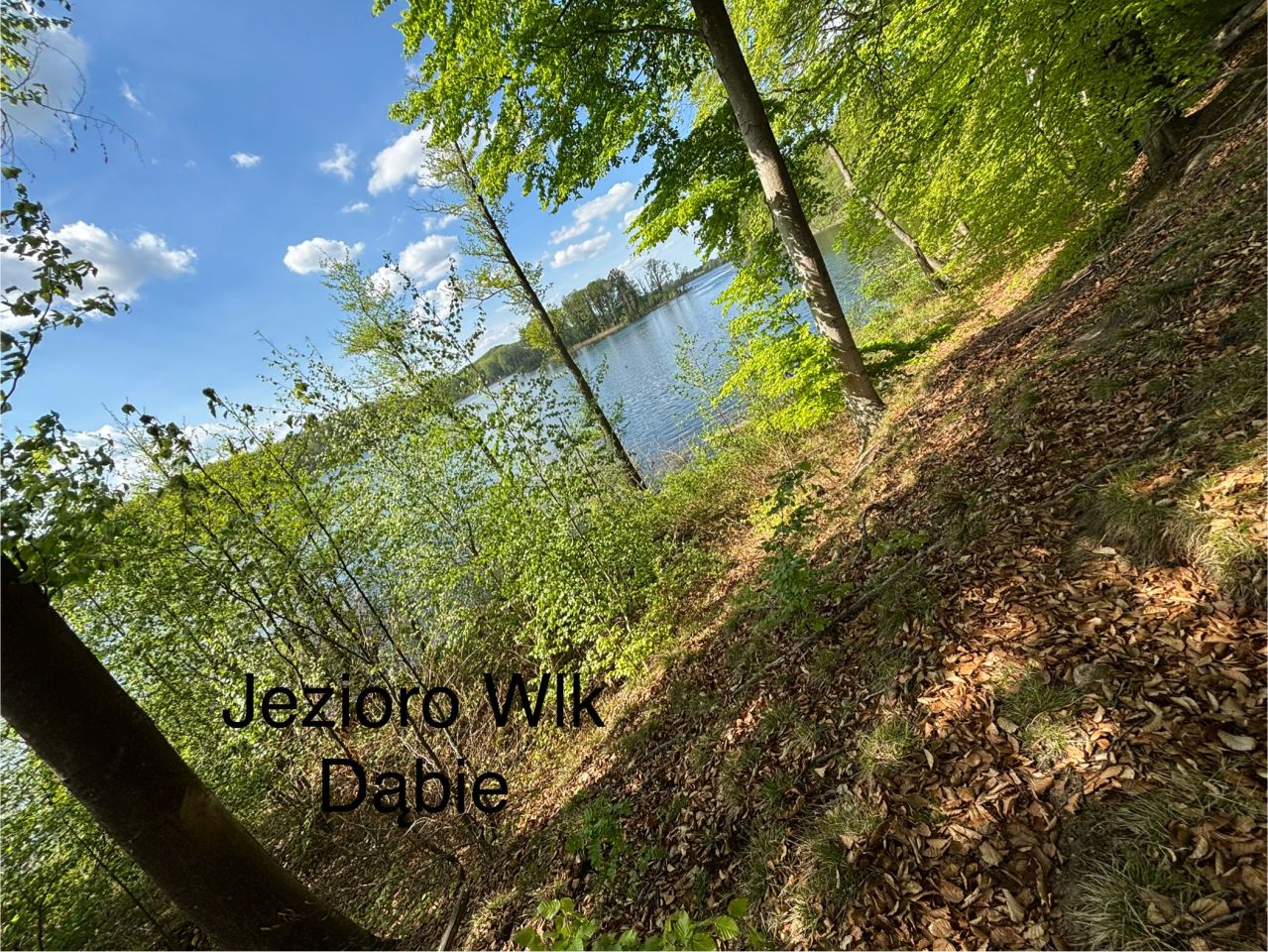 Działka rolna Rydzewo. Zdjęcie 9