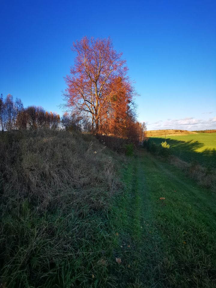 Działka budowlana Bisztynek. Zdjęcie 5