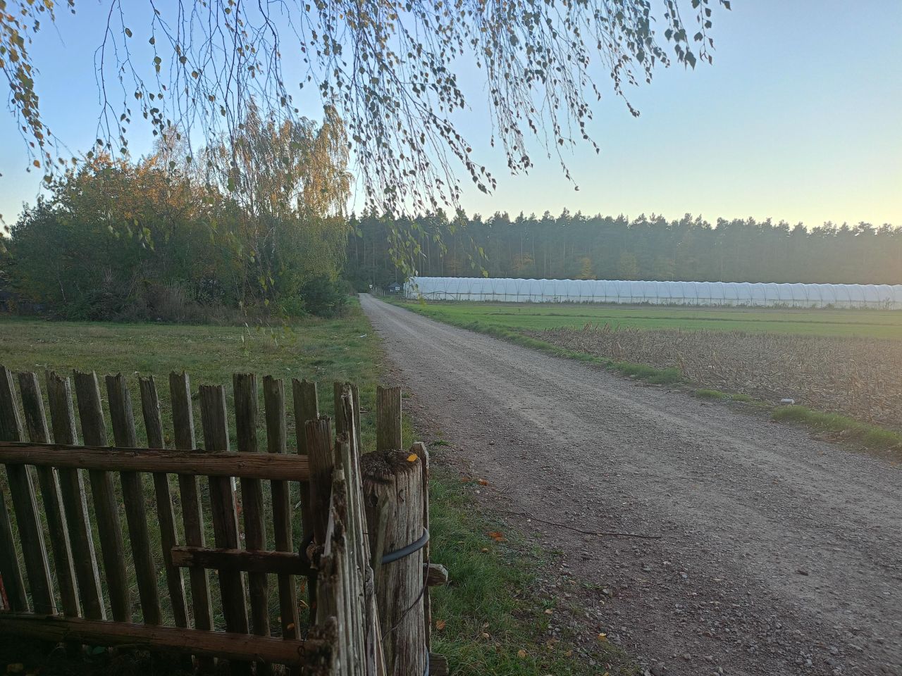 Działka budowlana Gręzówka Nowa Gręzówka, ul. Zachodnia. Zdjęcie 3