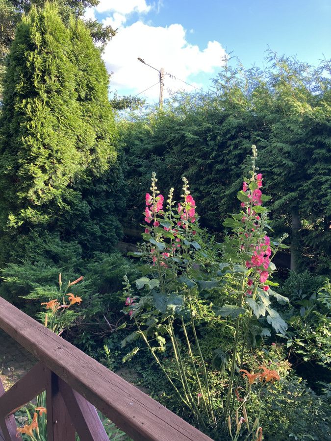 dom wolnostojący, 3 pokoje Sajzy. Zdjęcie 5