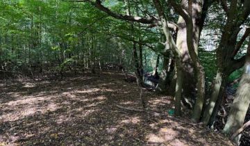 Działka budowlana Siestrzeń