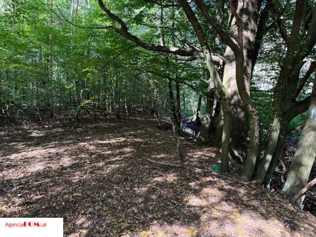 Działka budowlana Siestrzeń. Zdjęcie 2