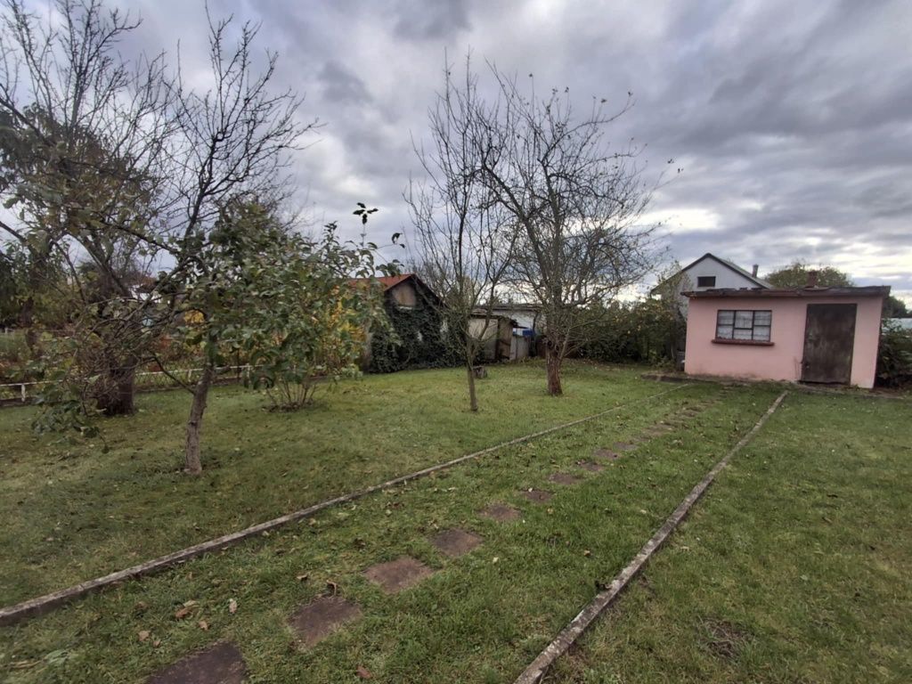 Działka rod Lubin. Zdjęcie 3