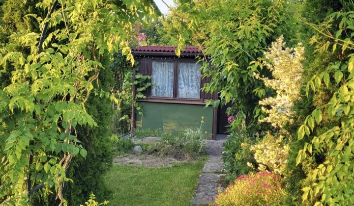 Działka rod Oława, ul. Oleśnicka