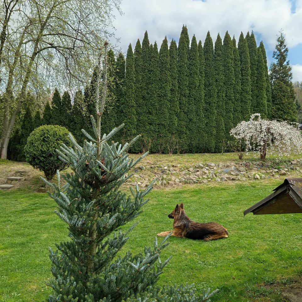 dom wolnostojący, 6 pokoi Kraków Wola Justowska, ul. Pod Sikornikiem. Zdjęcie 7