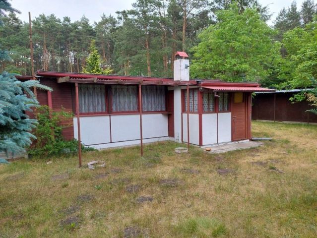 Działka budowlana Drużbice. Zdjęcie 7