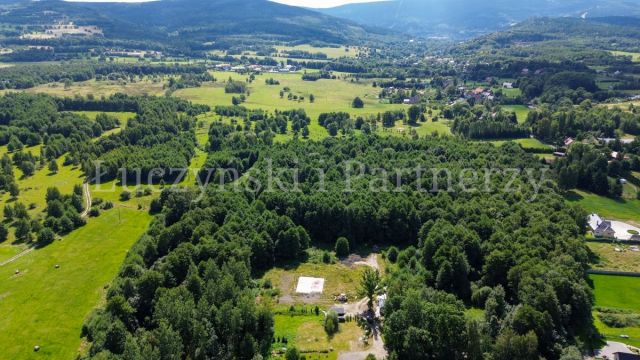 Działka inwestycyjna Kamień. Zdjęcie 4