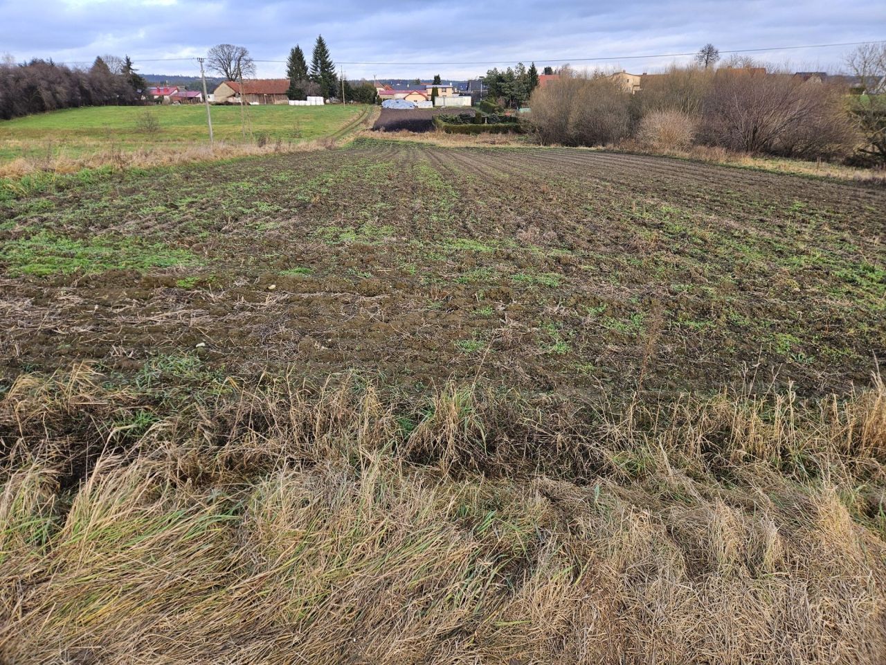 Działka budowlana Zwierzewo. Zdjęcie 7