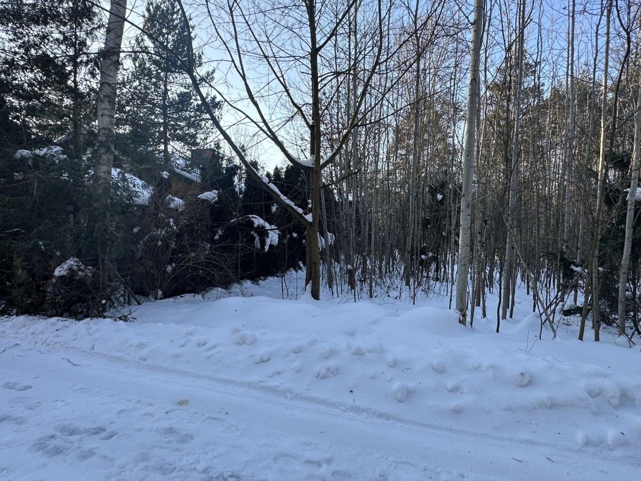 Działka budowlana Nowe Grobice, ul. Graniczna