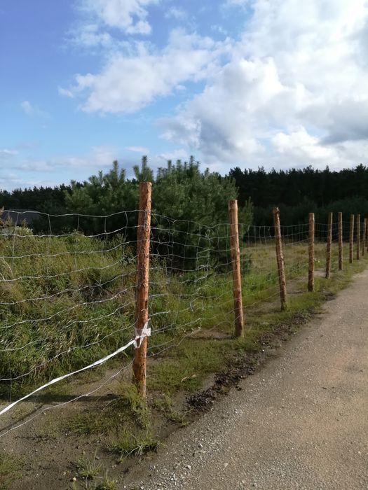 Działka budowlana Łochowo. Zdjęcie 3