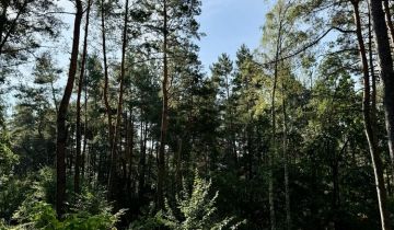 Działka rekreacyjna Wola Polska
