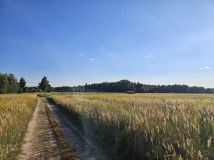 Działka budowlana Stradomia Wierzchnia. Zdjęcie 4