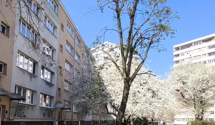 Mieszkanie 2-pokojowe Szczecin Niebuszewo, ul. bł. Wincentego Kadłubka