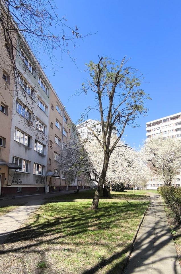 Mieszkanie 2-pokojowe Szczecin Niebuszewo, ul. bł. Wincentego Kadłubka. Zdjęcie 1