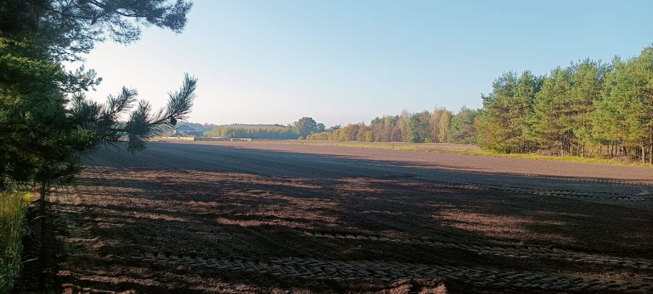Działka rolno-budowlana Siedliska, ul. Pod Dębami. Zdjęcie 3