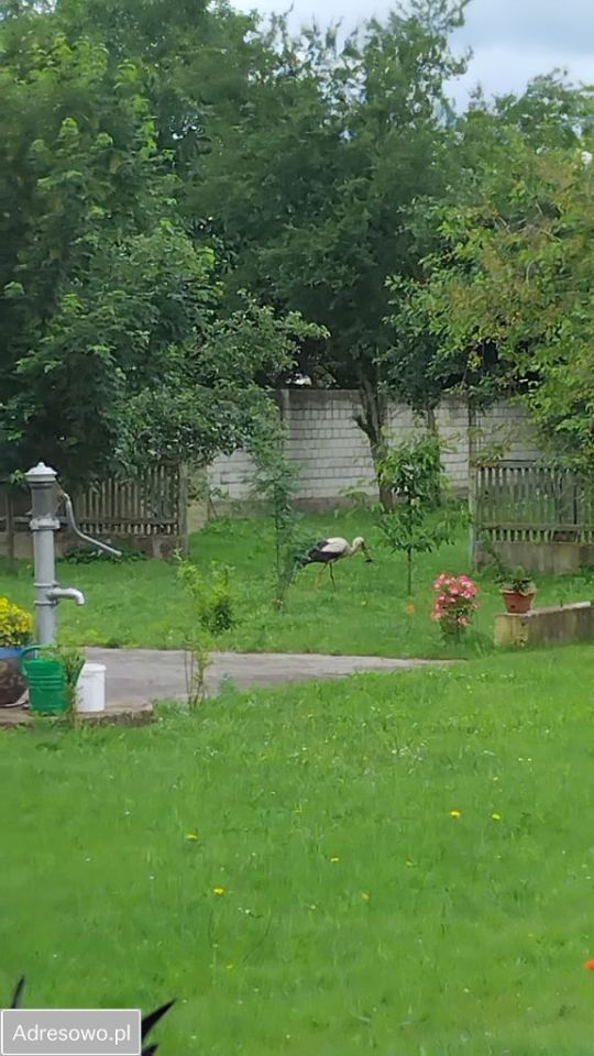 dom wolnostojący, 6 pokoi Krosin. Zdjęcie 4