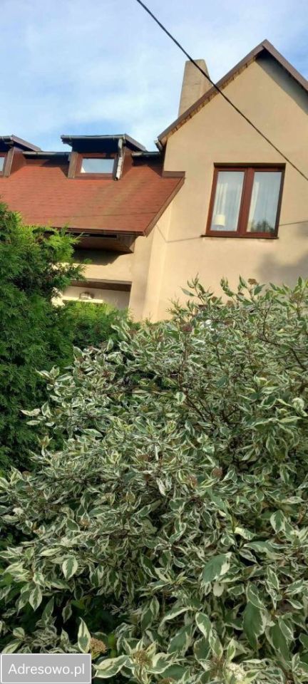 dom wolnostojący, 6 pokoi Gąsawa. Zdjęcie 3