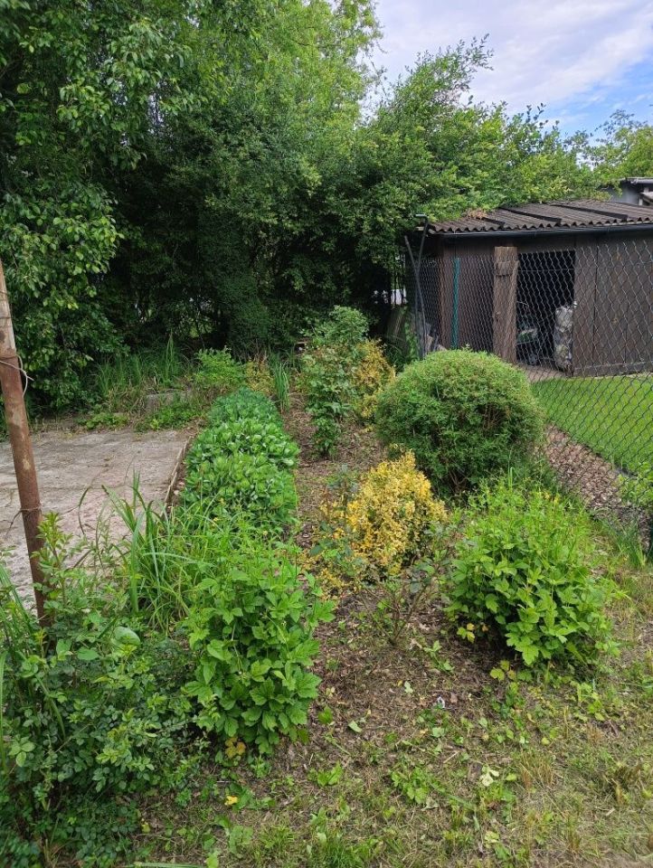 Działka rod Gliwice Sośnica, ul. Panewnicka. Zdjęcie 7