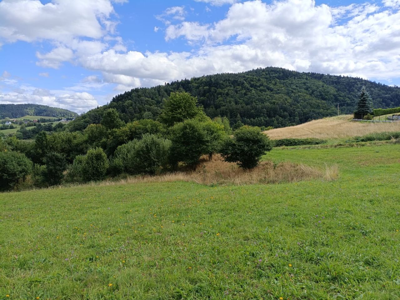 Zdjęcie 5