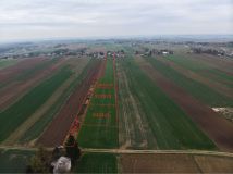 Działka rolno-budowlana Miechów. Zdjęcie 4