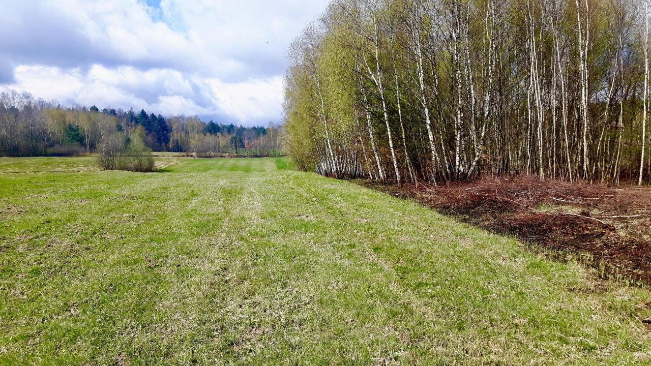 Działka budowlana Masłów Pierwszy, ul. Spacerowa. Zdjęcie 4