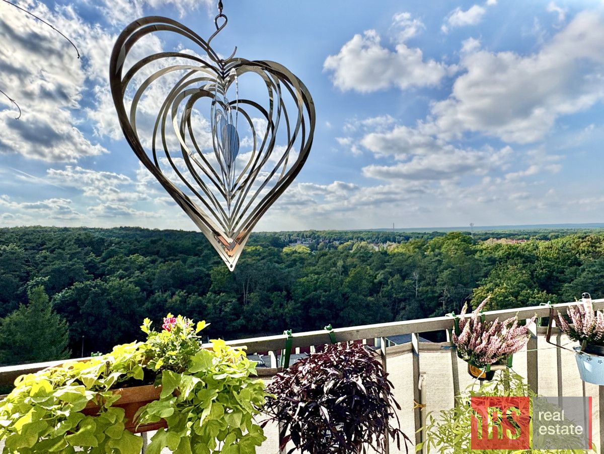 Mieszkanie 3-pokojowe Zielona Góra, ul. Kraljevska. Zdjęcie 16