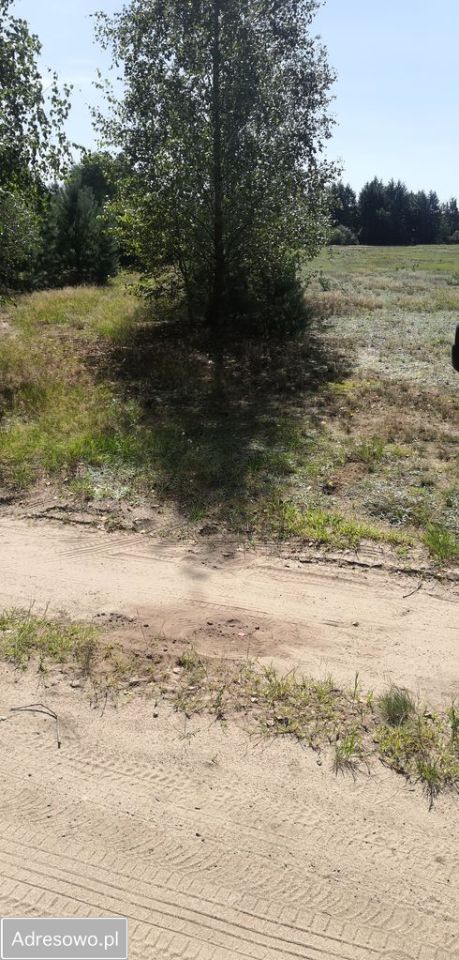 Działka budowlana Puszcza Rządowa. Zdjęcie 4