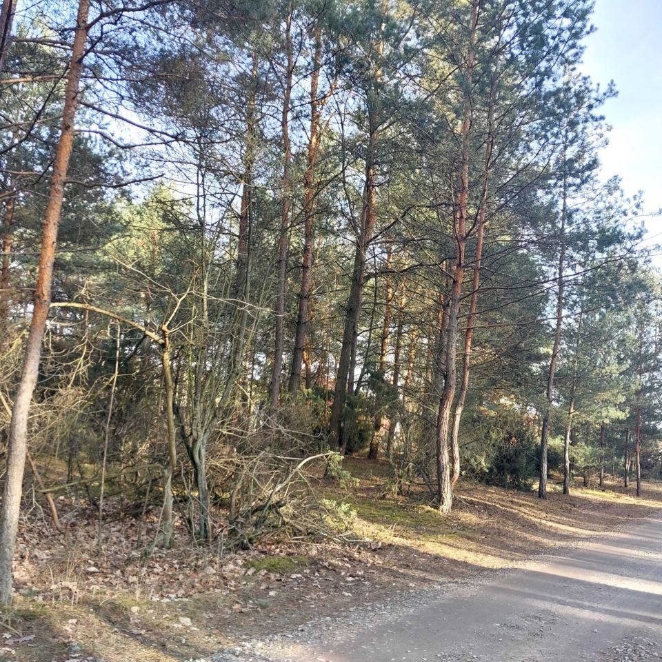 Działka budowlana Białobrzegi. Zdjęcie 3