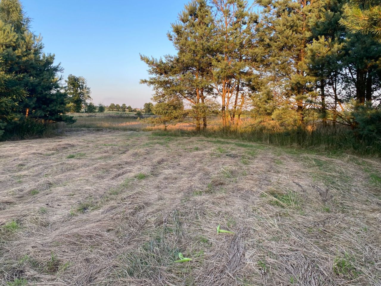 Działka budowlana Rudziczka, ul. Baraniok. Zdjęcie 7