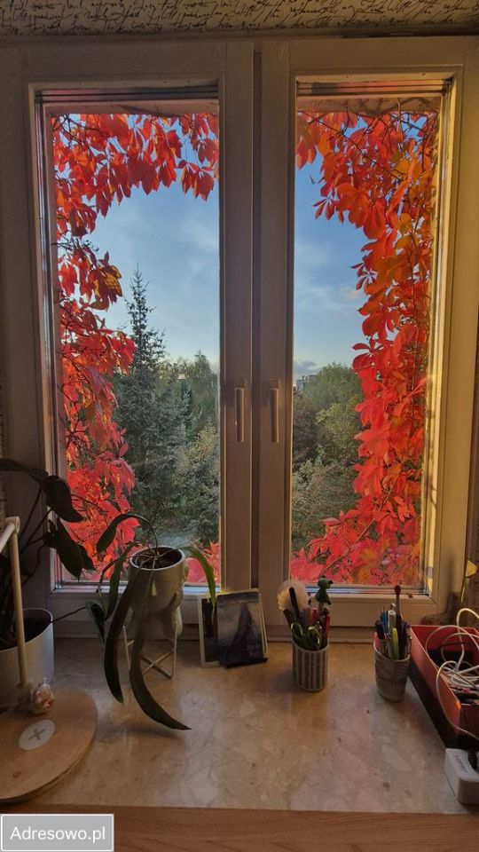 Mieszkanie 4-pokojowe Warszawa Ursynów. Zdjęcie 7