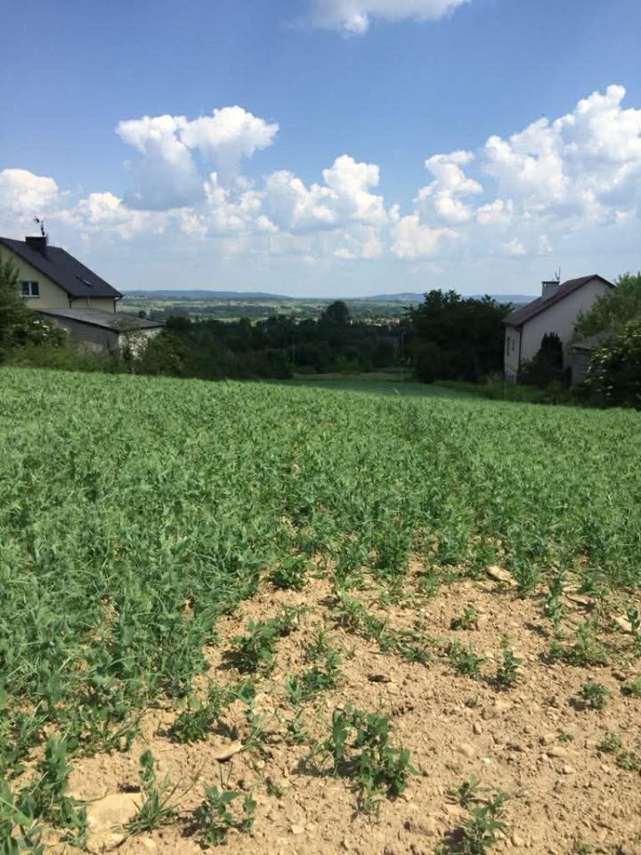 Działka budowlana Wolica, ul. Słoneczna. Zdjęcie 4