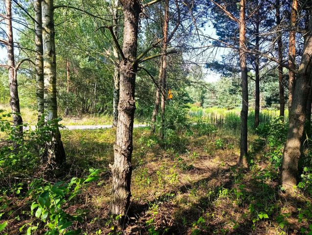Działka budowlana Rudniki. Zdjęcie 1