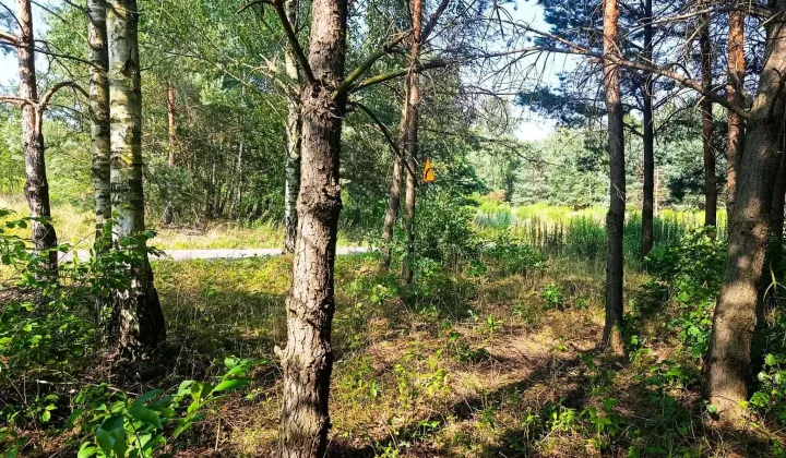 Działka budowlana Rudniki