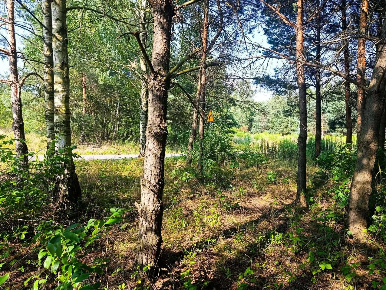 Działka budowlana Rudniki. Zdjęcie 1