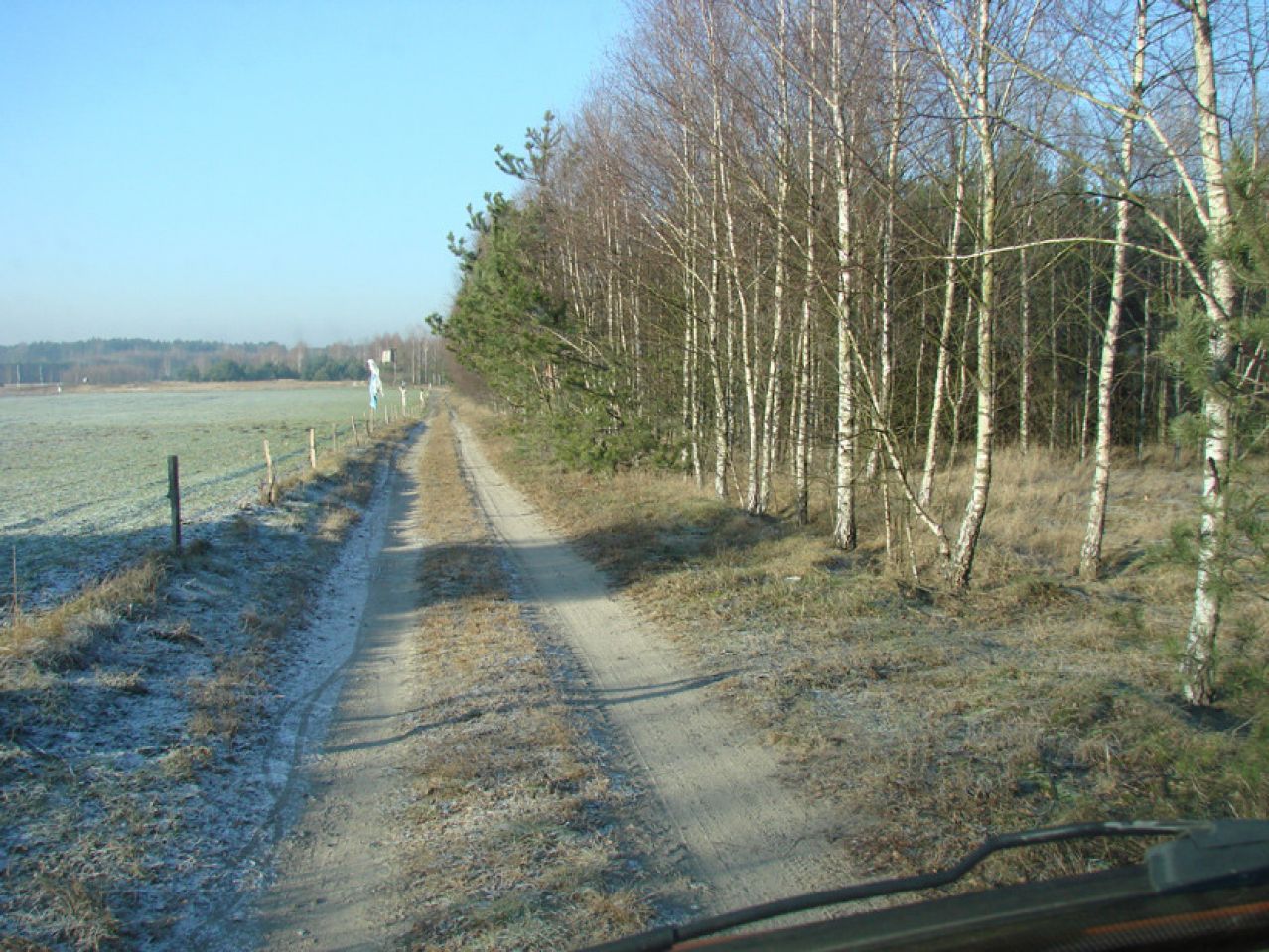 Działka leśna Rędziny. Zdjęcie 7