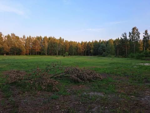 Działka rolno-budowlana Cmolas Dąbrówka. Zdjęcie 3