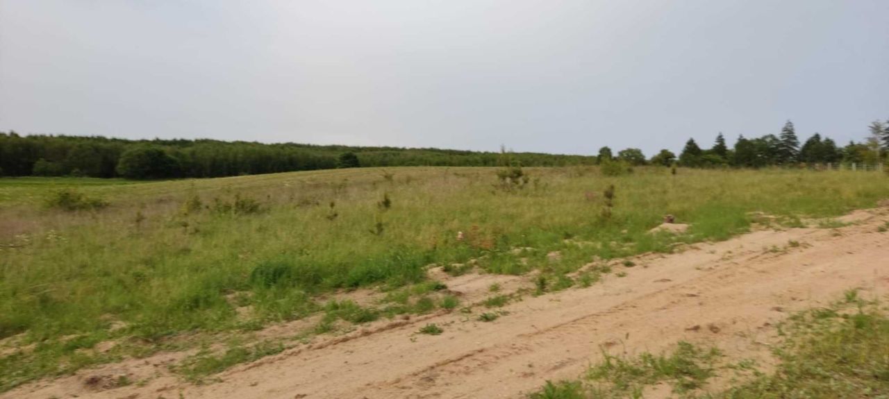 Działka rolno-budowlana Ostrowite. Zdjęcie 4