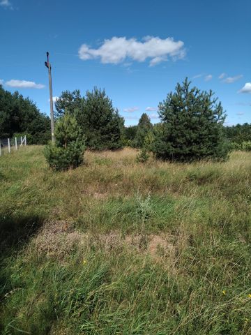 Działka rekreacyjna Jabłonka. Zdjęcie 1