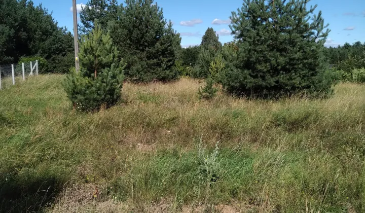 Działka rekreacyjna Jabłonka