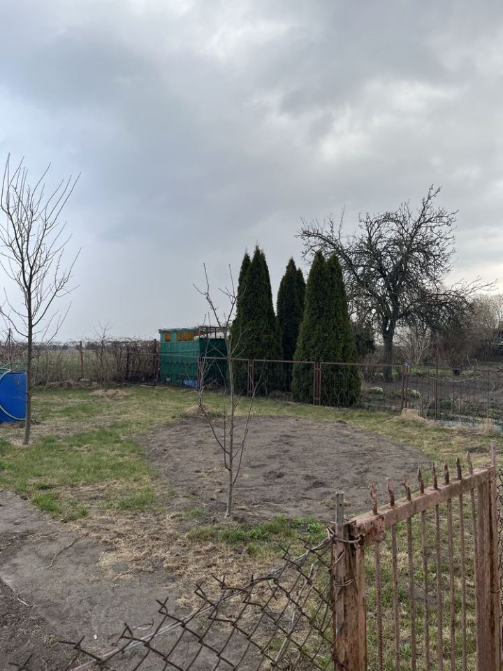 Działka rod Grajewo. Zdjęcie 3