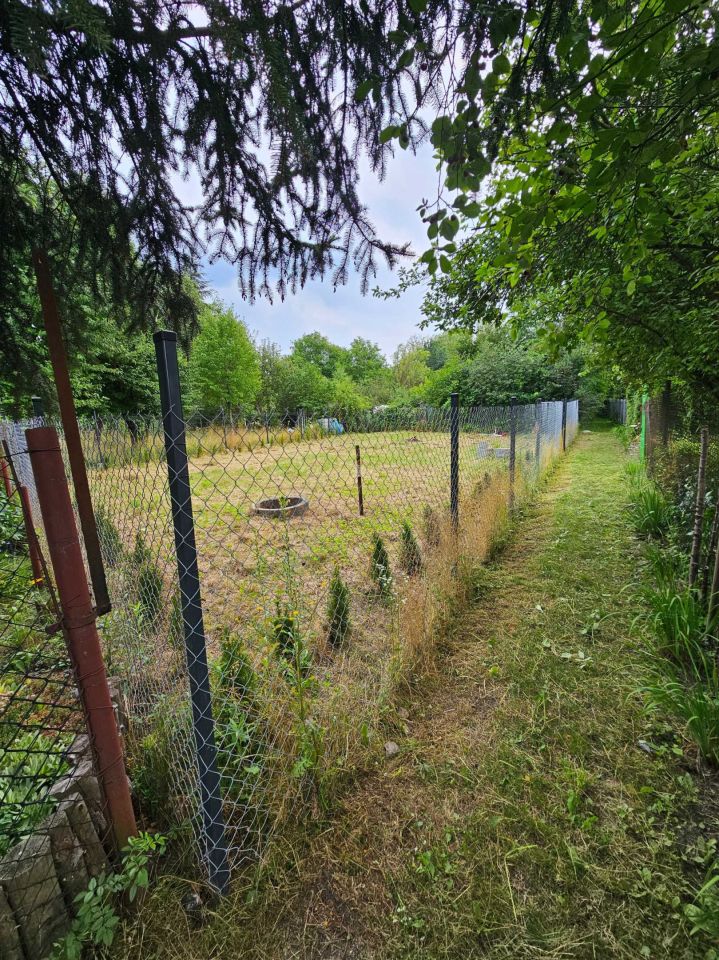 Działka rod Gliwice Zatorze. Zdjęcie 6