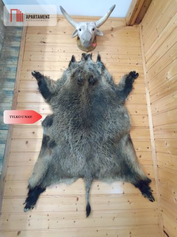 dom wolnostojący, 4 pokoje Stepno. Zdjęcie 18