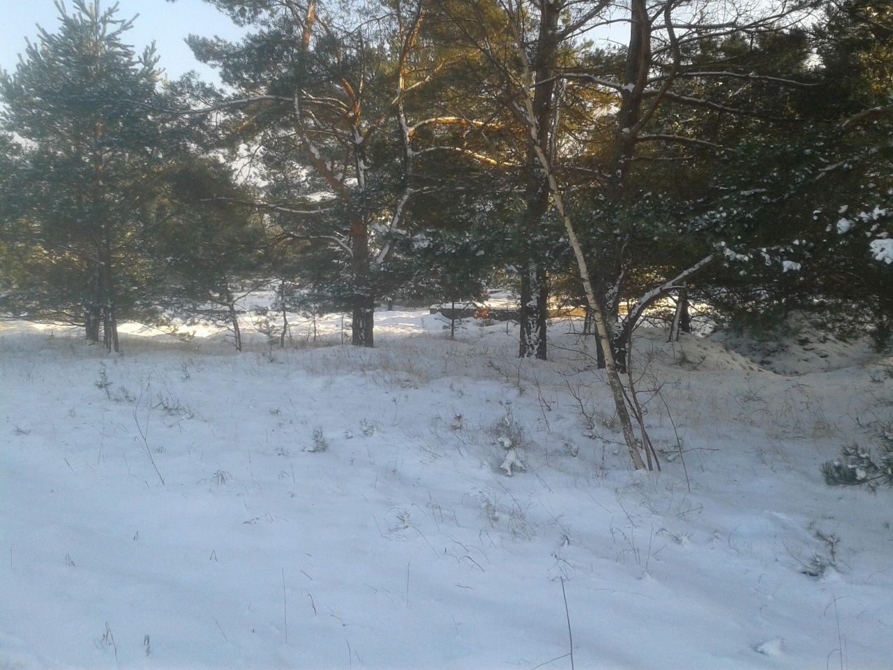 Działka rekreacyjna Martiany. Zdjęcie 12